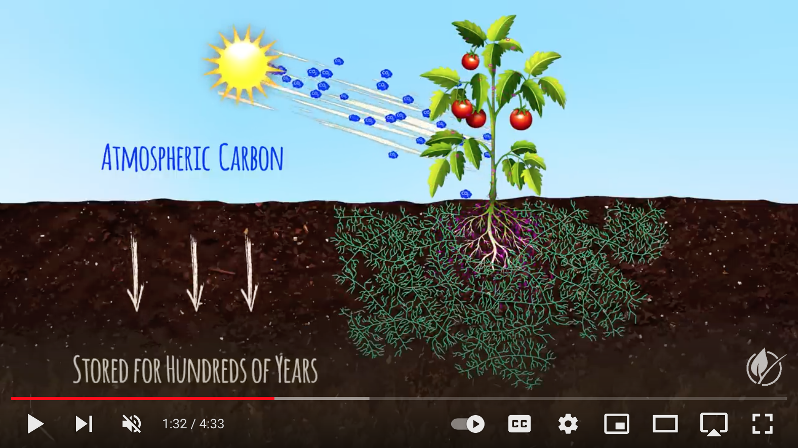 Soil Carbon Sequestration and the Soil Food  How Carbon's stored