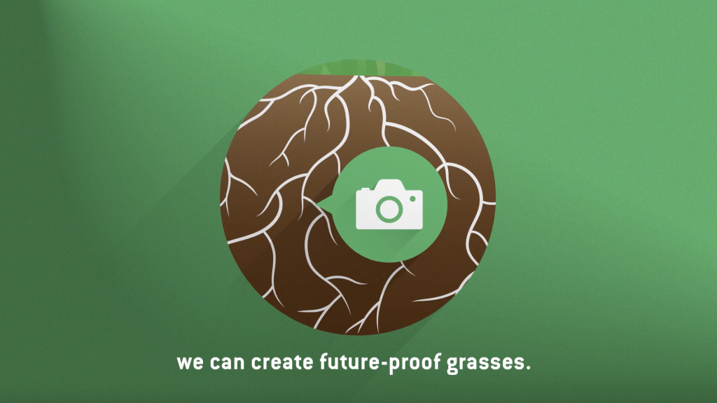 Dlf Roots DFL - Rooted In Science (video) - Eire Seeds